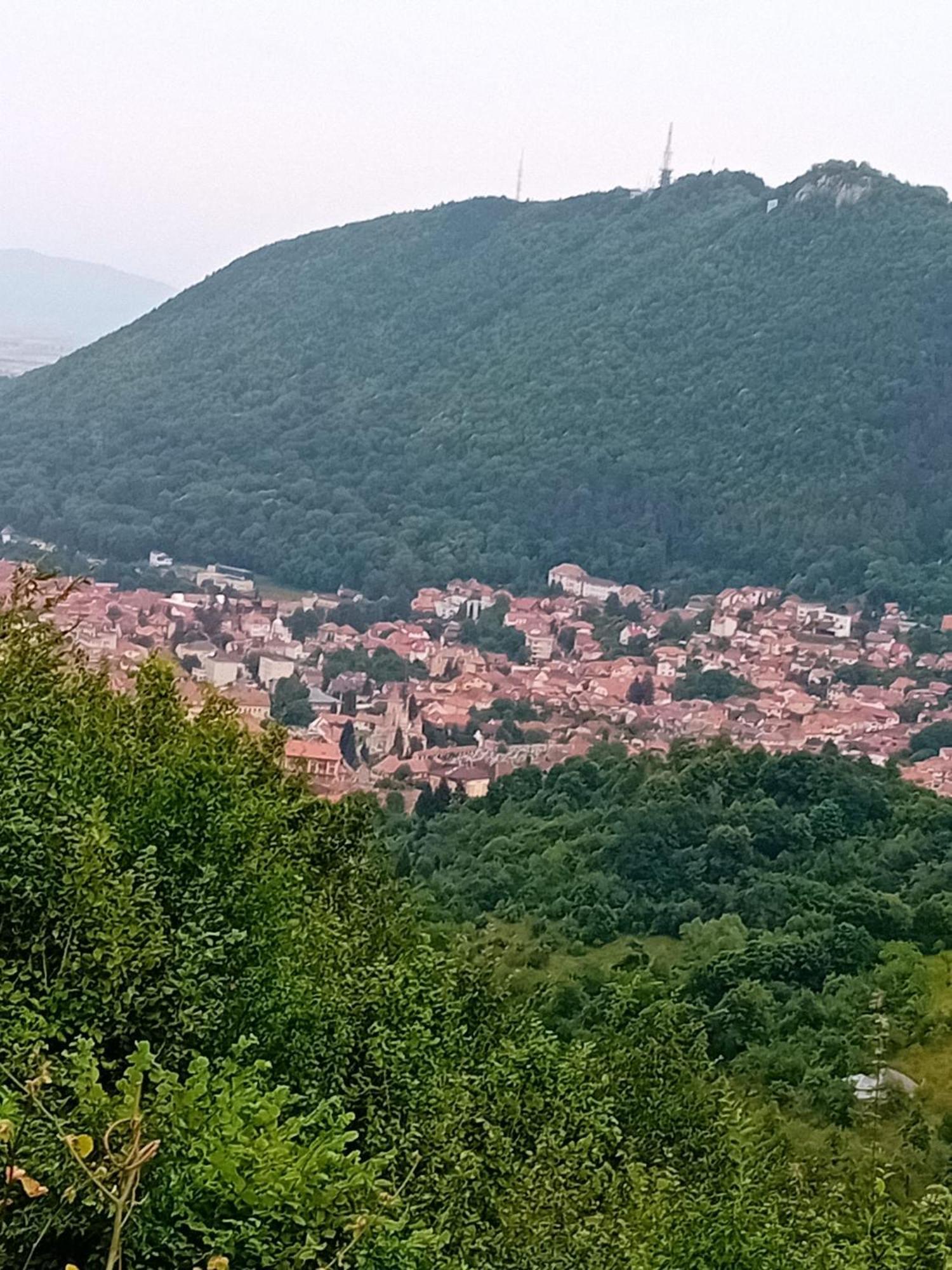Cosy Hideaway Brasov